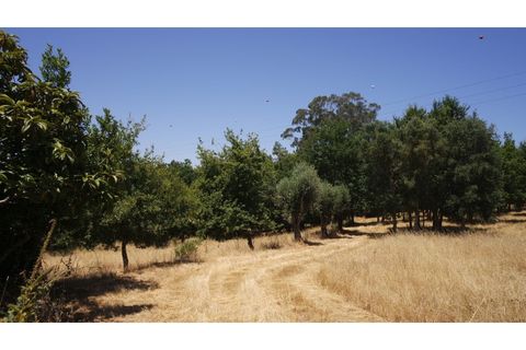 Helårsgrund i Tabua, Coimbra, Tabua - € 150.000 | Ref: TÁBUA - SINDE - foto 13