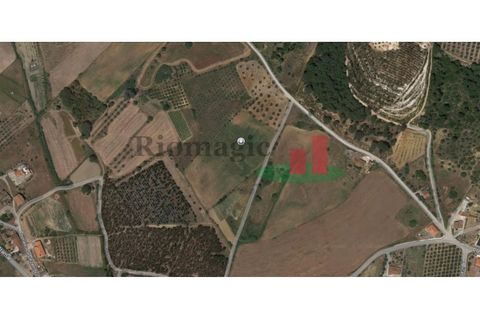 Helårsgrund i Rio Maior, Santarem, Rio Maior - € 35.000 | Ref: 325.23 - foto 2