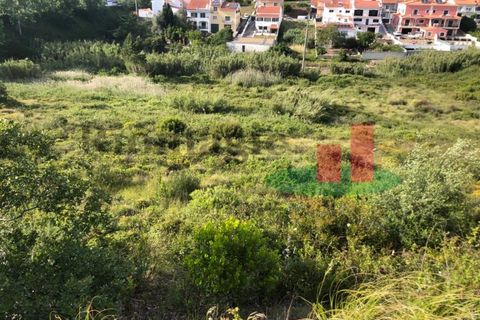 Helårsgrund i Santo Onofre e Serra do Bouro, Leiria, Santo Onofre e Serra do Bouro - € 274.260 | Ref: 323.23 - foto 5