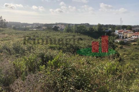 Helårsgrund i Santo Onofre e Serra do Bouro, Leiria, Santo Onofre e Serra do Bouro - € 274.260 | Ref: 323.23 - foto 3