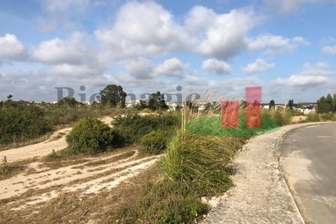 Helårsgrund i Santo Onofre e Serra do Bouro, Leiria, Santo Onofre e Serra do Bouro - € 274.260 | Ref: 323.23 - foto 6