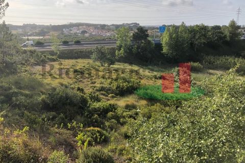 Helårsgrund i Santo Onofre e Serra do Bouro, Leiria, Santo Onofre e Serra do Bouro - € 274.260 | Ref: 323.23 - foto 7