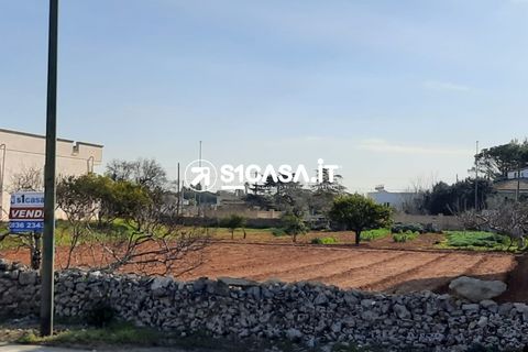 Terra a Galatone, Lecce, Galatone - € 70.000 | Ref: TSD-1146 - foto 2