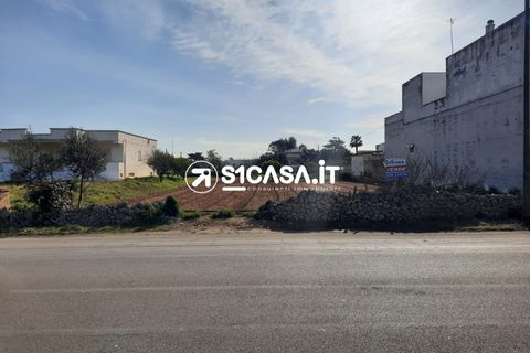 Terra a Galatone, Lecce, Galatone - € 70.000 | Ref: TSD-1146 - foto 3