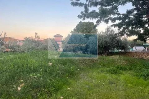 Tomt i Melilli, Siracusa, Melilli - € 380 000 | Ref: RIF. BEL TCIT 33 - foto 6