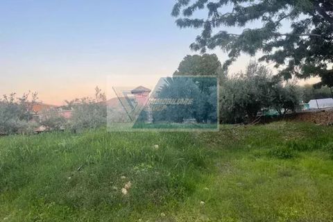 Tomt i Melilli, Siracusa, Melilli - € 380 000 | Ref: RIF. BEL TCIT 33 - foto 9