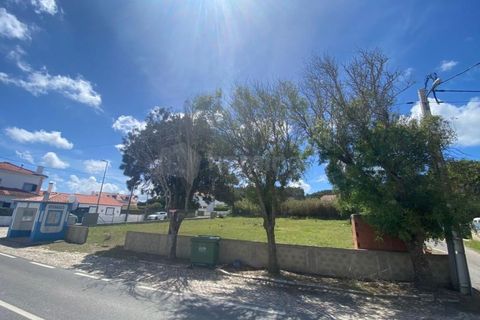 Helårsgrund i Sintra, Lisbon, Sintra - € 129.000 | Ref: TER_1509 - foto 5