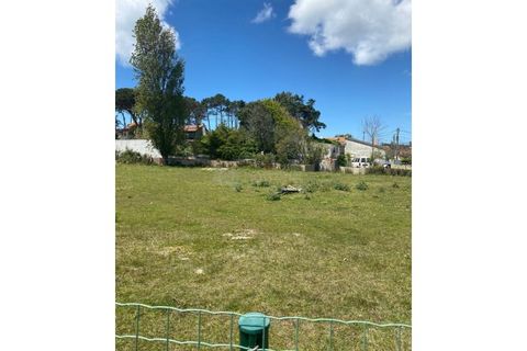 Helårsgrund i Sintra, Lisbon, Sintra - € 129.000 | Ref: TER_1509 - foto 6