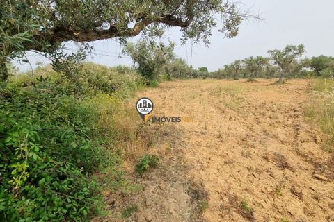 Helårsgrund i Castelo Branco, Castelo Branco, Castelo Branco - € 39.000 | Ref: 2574 - foto 4