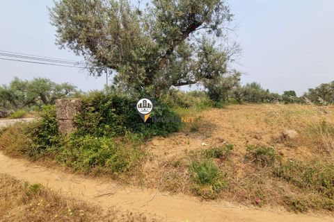 Helårsgrund i Castelo Branco, Castelo Branco, Castelo Branco - € 39.000 | Ref: 2574 - foto 5