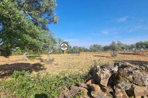 Helårsgrund i Castelo Branco, Castelo Branco, Castelo Branco - € 39.000 | Ref: 2574 - foto 8