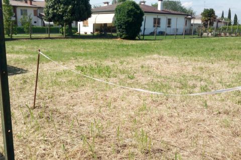 Helårsgrund i Masi, Padua, Masi - € 60.000 | Ref: OBV 11 - foto 2