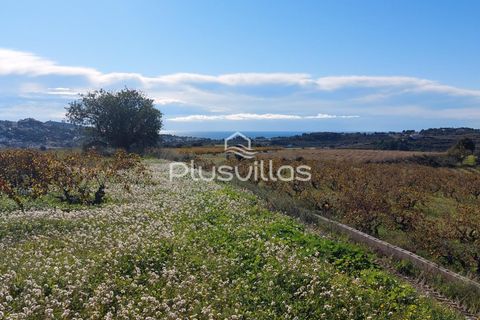 Terra a Teulada, Alicante, Teulada - € 400.000 | Ref: P24* - foto 2