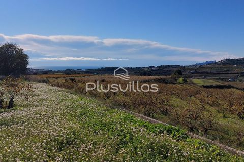 Terra a Teulada, Alicante, Teulada - € 400.000 | Ref: P24* - foto 3