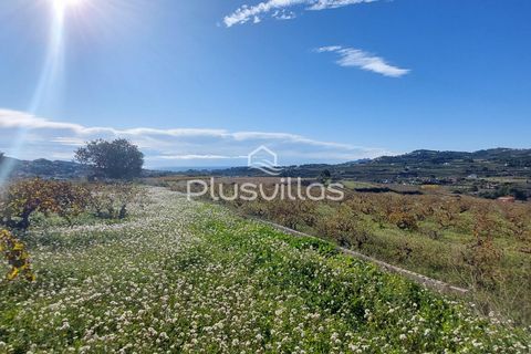Terra a Teulada, Alicante, Teulada - € 400.000 | Ref: P24* - foto 4