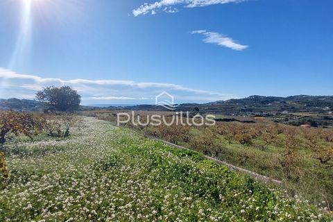 Terra a Teulada, Alicante, Teulada - € 400.000 | Ref: P24* - foto 5
