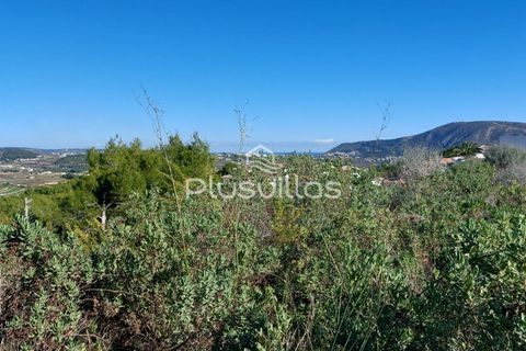 Helårsgrund i Teulada, Alicante, Teulada - € 300.000 | Ref: P26* - foto 3