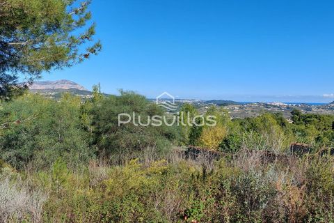 Helårsgrund i Teulada, Alicante, Teulada - € 300.000 | Ref: P26* - foto 4