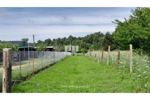 Helårsgrund i Caminha, Viana do Castelo, Caminha - € 45.500 | Ref: C02658 - foto 3