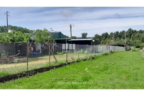 Helårsgrund i Caminha, Viana do Castelo, Caminha - € 45.500 | Ref: C02658 - foto 9