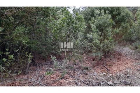 Helårsgrund i Penafiel, Porto, Penafiel - € 10.000 | Ref: MC09521 - foto 1