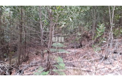 Helårsgrund i Penafiel, Porto, Penafiel - € 10.000 | Ref: MC09521 - foto 8