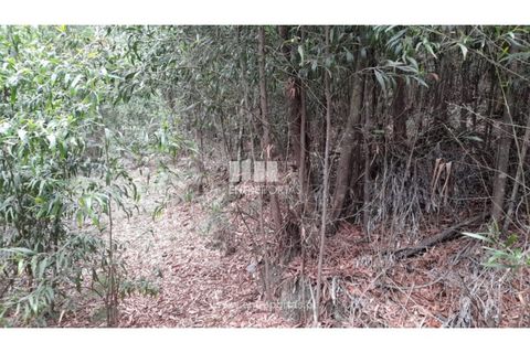 Helårsgrund i Penafiel, Porto, Penafiel - € 10.000 | Ref: MC09521 - foto 10