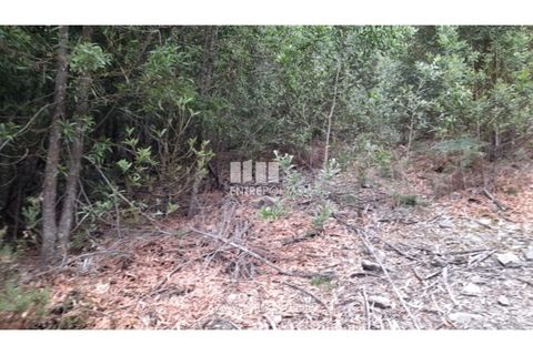 Helårsgrund i Penafiel, Porto, Penafiel - € 10.000 | Ref: MC09521 - foto 12