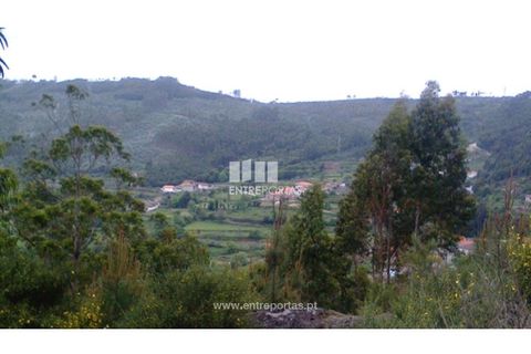 Helårsgrund i Penafiel, Porto, Penafiel - € 9.000 | Ref: MC09519 - foto 1