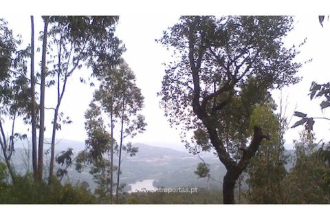 Helårsgrund i Penafiel, Porto, Penafiel - € 9.000 | Ref: MC09519 - foto 13