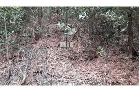 Helårsgrund i Penafiel, Porto, Penafiel - € 17.500 | Ref: MC09520 - foto 2
