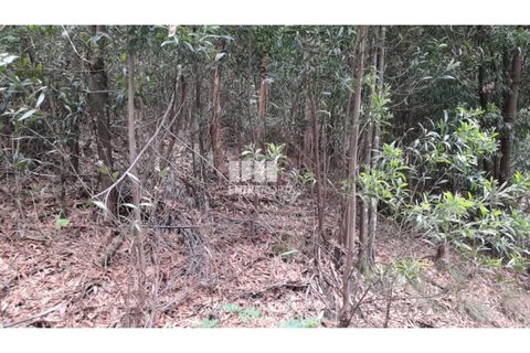Helårsgrund i Penafiel, Porto, Penafiel - € 17.500 | Ref: MC09520 - foto 3