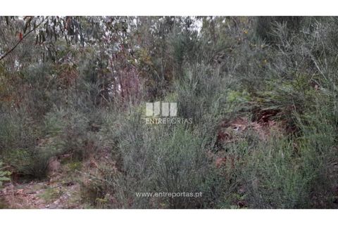 Helårsgrund i Penafiel, Porto, Penafiel - € 17.500 | Ref: MC09520 - foto 4