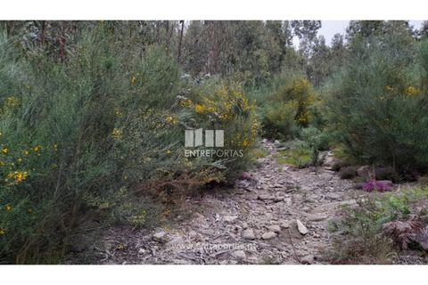 Helårsgrund i Penafiel, Porto, Penafiel - € 17.500 | Ref: MC09520 - foto 1