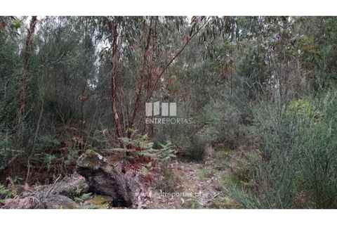 Helårsgrund i Penafiel, Porto, Penafiel - € 17.500 | Ref: MC09520 - foto 8