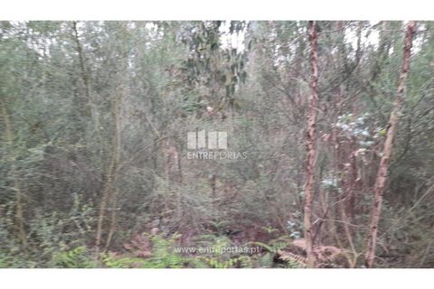 Helårsgrund i Penafiel, Porto, Penafiel - € 17.500 | Ref: MC09520 - foto 9