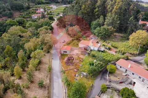 Farm i Candemil e Gondar, Viana do Castelo, Candemil e Gondar - € 119.500 | Ref: FIN_171 - foto 5
