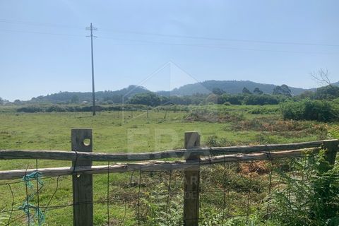 Helårsgrund i Esposende, Braga, Esposende - € 138.000 | Ref: 039230080 - foto 2