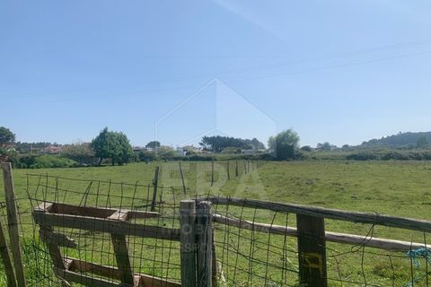 Helårsgrund i Esposende, Braga, Esposende - € 138.000 | Ref: 039230080 - foto 3