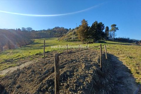 Granja a Chiusi, Siena, Chiusi - € 400.000 | Ref: AZ55 - foto 6