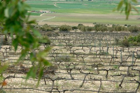 Villa i Yecla, Murcia, Yecla - € 800.000 | Ref: RSL-22213 - foto 34