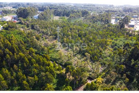 Helårsgrund i Grijo, Porto, Grijo - € 2.885.000 | Ref: ZMPT557762 - foto 9
