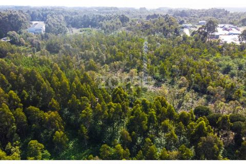 Helårsgrund i Grijo, Porto, Grijo - € 2.885.000 | Ref: ZMPT557762 - foto 10