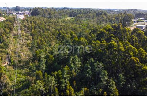 Helårsgrund i Grijo, Porto, Grijo - € 2.885.000 | Ref: ZMPT557762 - foto 11