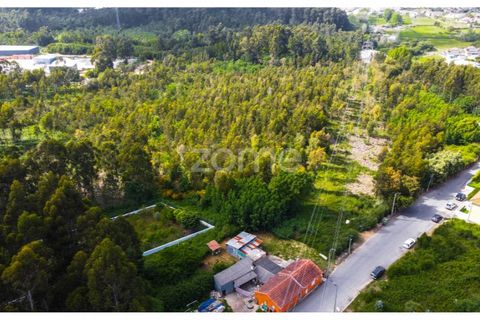 Helårsgrund i Grijo, Porto, Grijo - € 2.885.000 | Ref: ZMPT557762 - foto 5