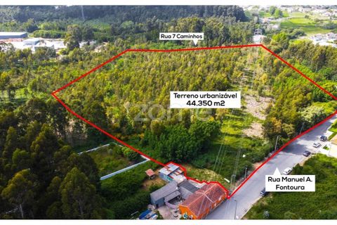 Helårsgrund i Grijo, Porto, Grijo - € 2.885.000 | Ref: ZMPT557762 - foto 6