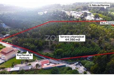 Helårsgrund i Grijo, Porto, Grijo - € 2.885.000 | Ref: ZMPT557762 - foto 3
