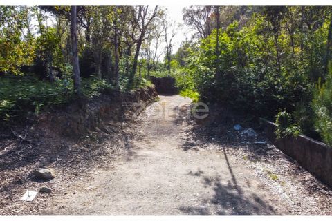 Terreno en Grijo, Porto, Grijo - € 2.885.000 | Ref: ZMPT557762 - photo 10