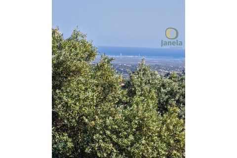 Ruinere i Estoi, Faro, Estoi - € 325.000 | Ref: RU13236 - foto 7