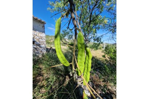Ruinere i Estoi, Faro, Estoi - € 325.000 | Ref: RU13236 - foto 17